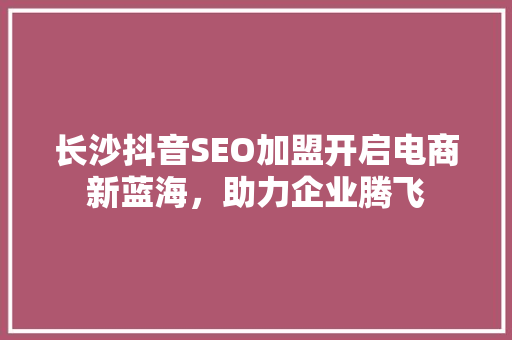 长沙抖音SEO加盟开启电商新蓝海，助力企业腾飞