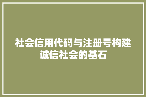 社会信用代码与注册号构建诚信社会的基石