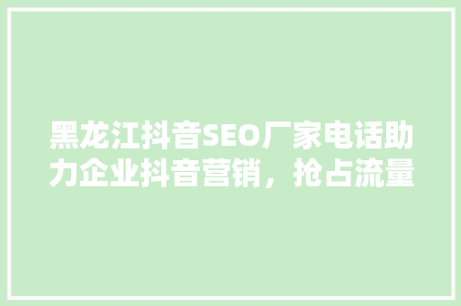 黑龙江抖音SEO厂家电话助力企业抖音营销，抢占流量高地