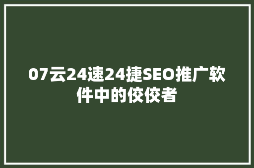 07云24速24捷SEO推广软件中的佼佼者