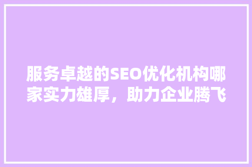 服务卓越的SEO优化机构哪家实力雄厚，助力企业腾飞