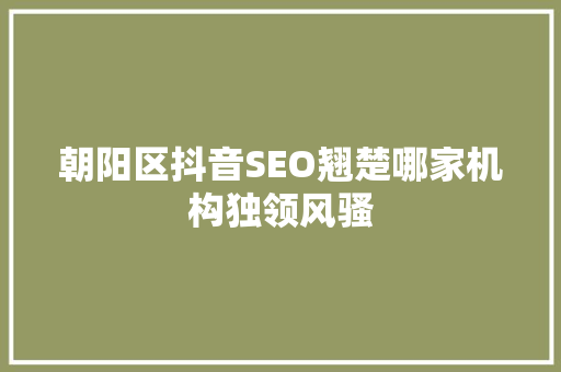 朝阳区抖音SEO翘楚哪家机构独领风骚