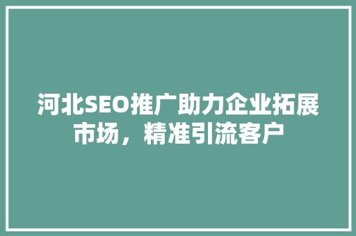 河北SEO推广助力企业拓展市场，精准引流客户
