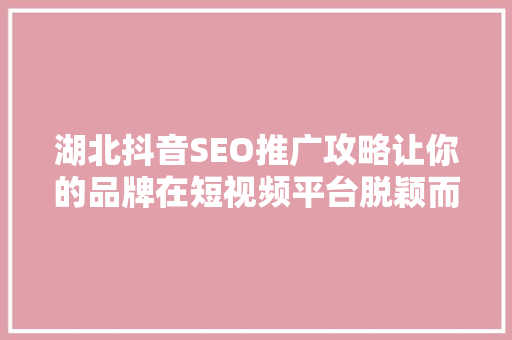 湖北抖音SEO推广攻略让你的品牌在短视频平台脱颖而出