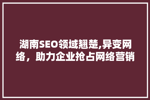 湖南SEO领域翘楚,异变网络，助力企业抢占网络营销高地