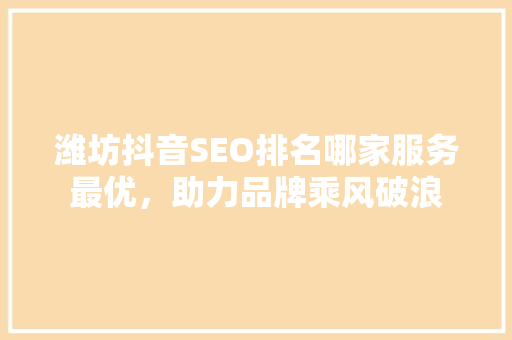 潍坊抖音SEO排名哪家服务最优，助力品牌乘风破浪