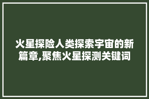 火星探险人类探索宇宙的新篇章,聚焦火星探测关键词
