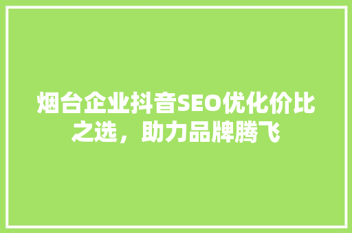 烟台企业抖音SEO优化价比之选，助力品牌腾飞