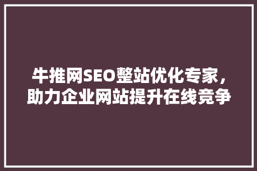 牛推网SEO整站优化专家，助力企业网站提升在线竞争力