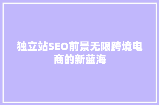 独立站SEO前景无限跨境电商的新蓝海