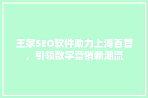 王家SEO软件助力上海百首，引领数字营销新潮流