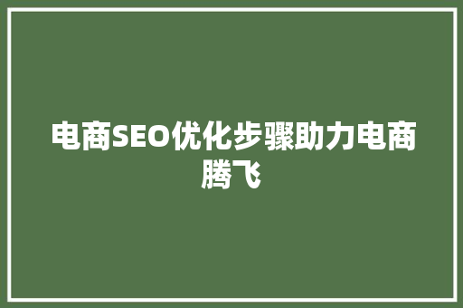 电商SEO优化步骤助力电商腾飞