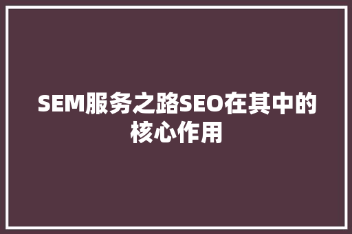 SEM服务之路SEO在其中的核心作用
