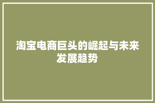 淘宝电商巨头的崛起与未来发展趋势
