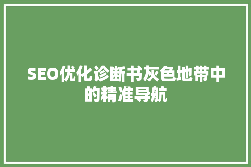 SEO优化诊断书灰色地带中的精准导航