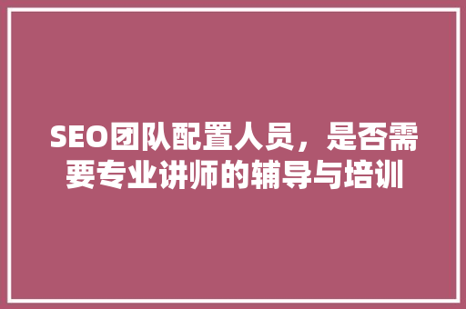 SEO团队配置人员，是否需要专业讲师的辅导与培训