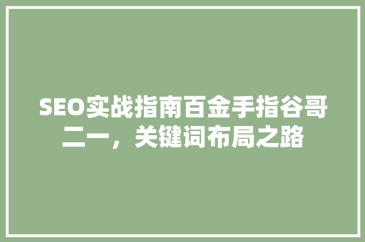 SEO实战指南百金手指谷哥二一，关键词布局之路