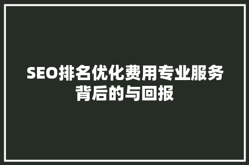 SEO排名优化费用专业服务背后的与回报