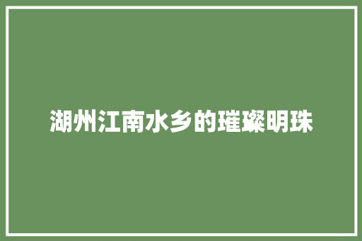 湖州江南水乡的璀璨明珠