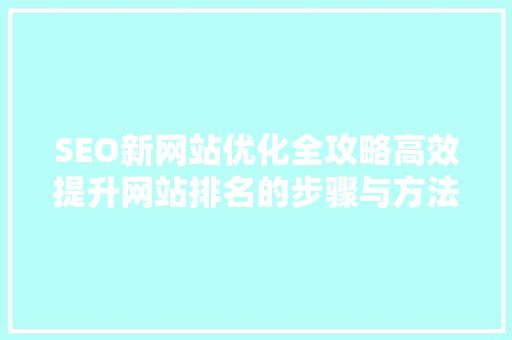 SEO新网站优化全攻略高效提升网站排名的步骤与方法