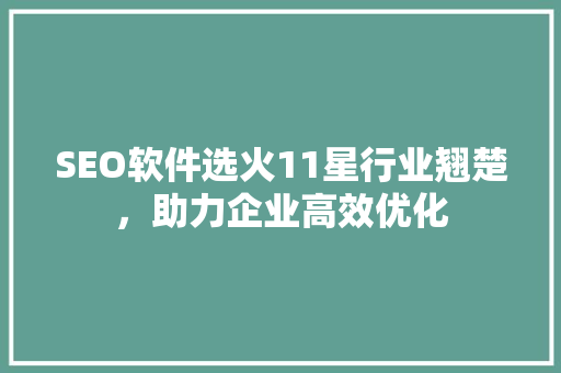 SEO软件选火11星行业翘楚，助力企业高效优化