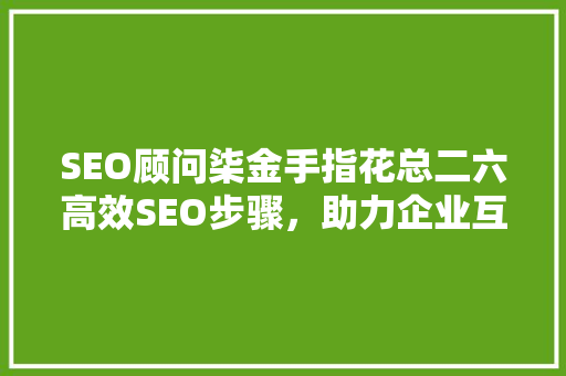 SEO顾问柒金手指花总二六高效SEO步骤，助力企业互联网发展