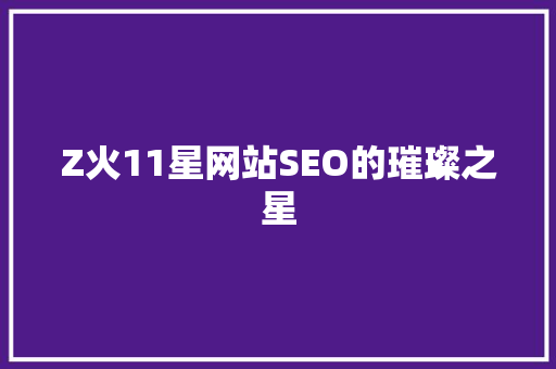 Z火11星网站SEO的璀璨之星