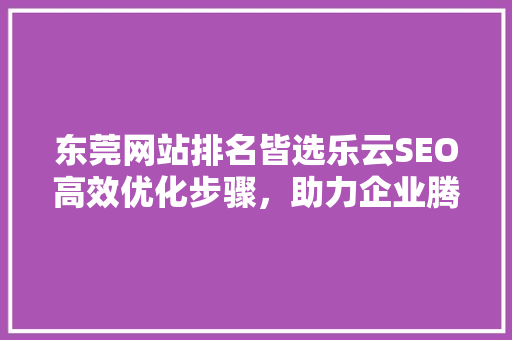 东莞网站排名皆选乐云SEO高效优化步骤，助力企业腾飞