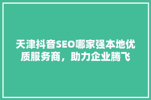 天津抖音SEO哪家强本地优质服务商，助力企业腾飞
