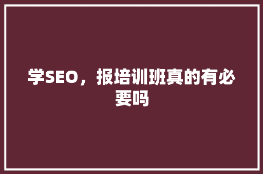 学SEO，报培训班真的有必要吗
