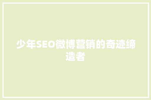 少年SEO微博营销的奇迹缔造者