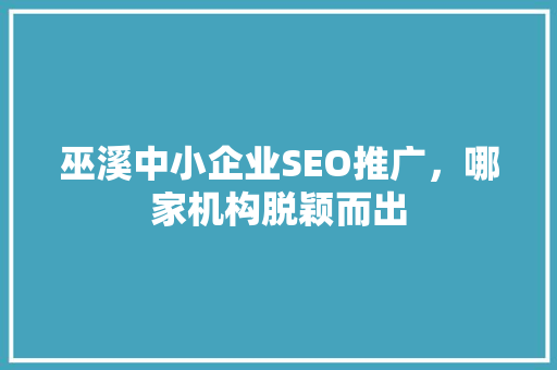 巫溪中小企业SEO推广，哪家机构脱颖而出