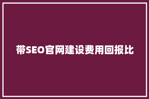 带SEO官网建设费用回报比