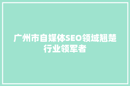广州市自媒体SEO领域翘楚行业领军者