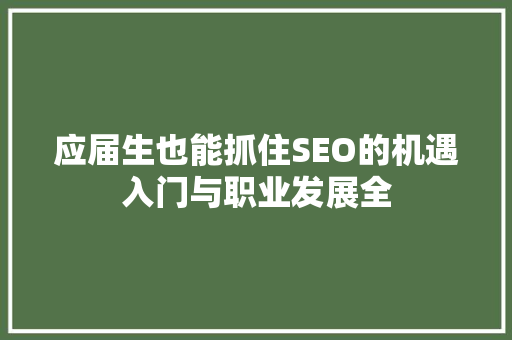 应届生也能抓住SEO的机遇入门与职业发展全