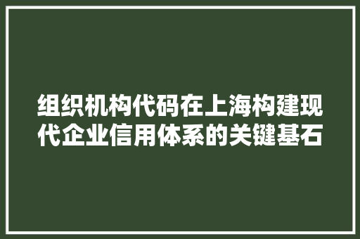 组织机构代码在上海构建现代企业信用体系的关键基石