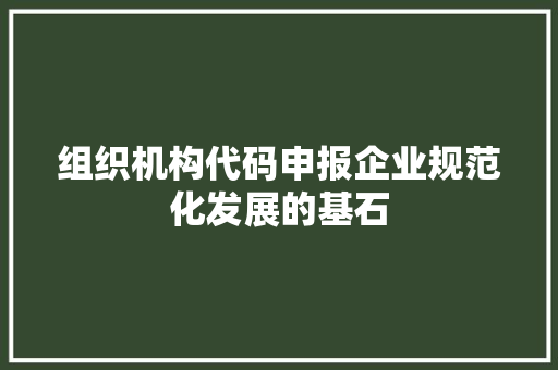 组织机构代码申报企业规范化发展的基石