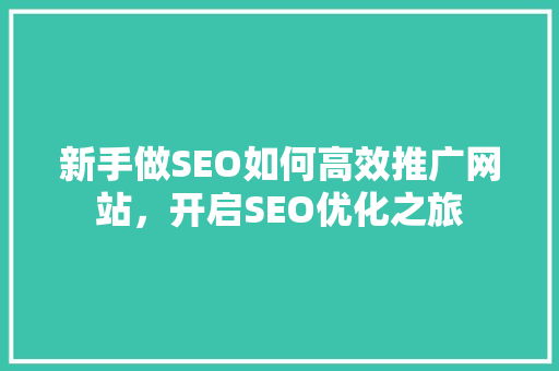 新手做SEO如何高效推广网站，开启SEO优化之旅
