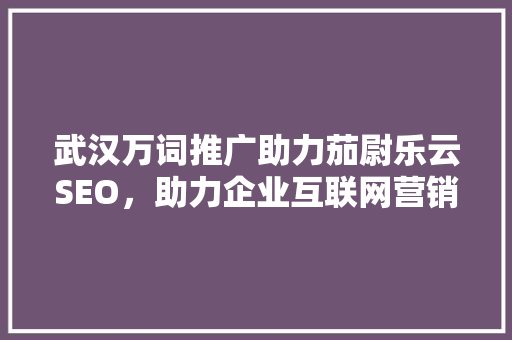武汉万词推广助力茄尉乐云SEO，助力企业互联网营销新突破