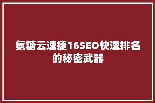 氨糖云速捷16SEO快速排名的秘密武器
