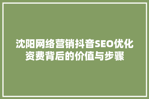 沈阳网络营销抖音SEO优化资费背后的价值与步骤
