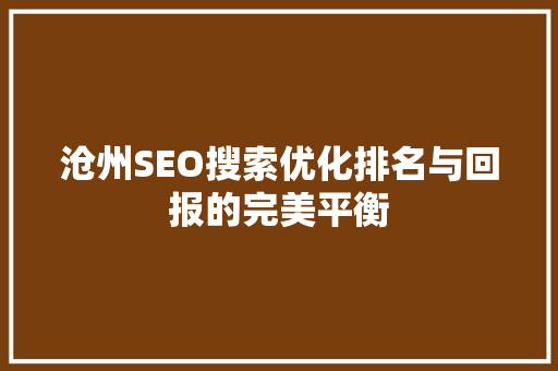 沧州SEO搜索优化排名与回报的完美平衡