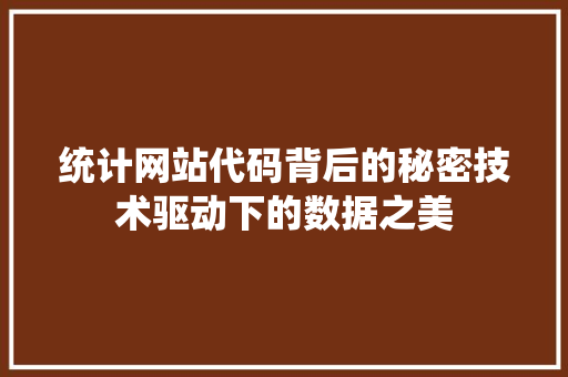 统计网站代码背后的秘密技术驱动下的数据之美