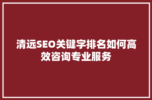 清远SEO关键字排名如何高效咨询专业服务