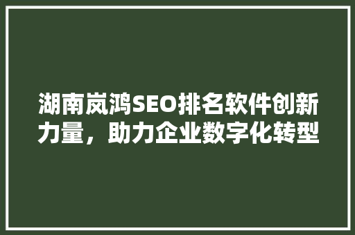 湖南岚鸿SEO排名软件创新力量，助力企业数字化转型