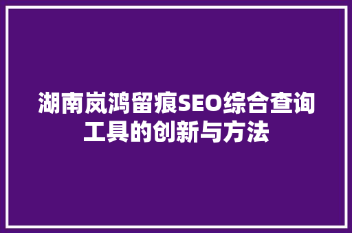 湖南岚鸿留痕SEO综合查询工具的创新与方法
