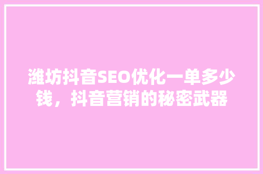 潍坊抖音SEO优化一单多少钱，抖音营销的秘密武器
