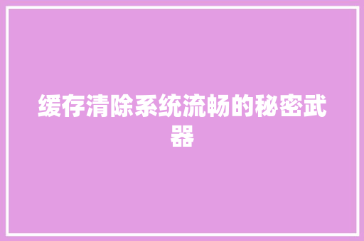 缓存清除系统流畅的秘密武器