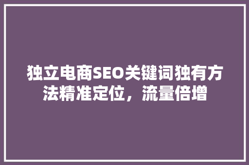 独立电商SEO关键词独有方法精准定位，流量倍增