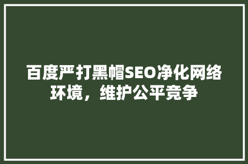 百度严打黑帽SEO净化网络环境，维护公平竞争